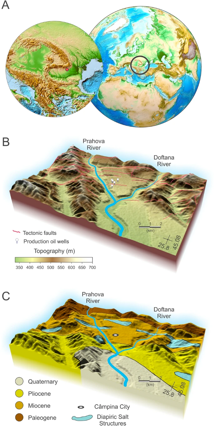 Scientific Reports 2021