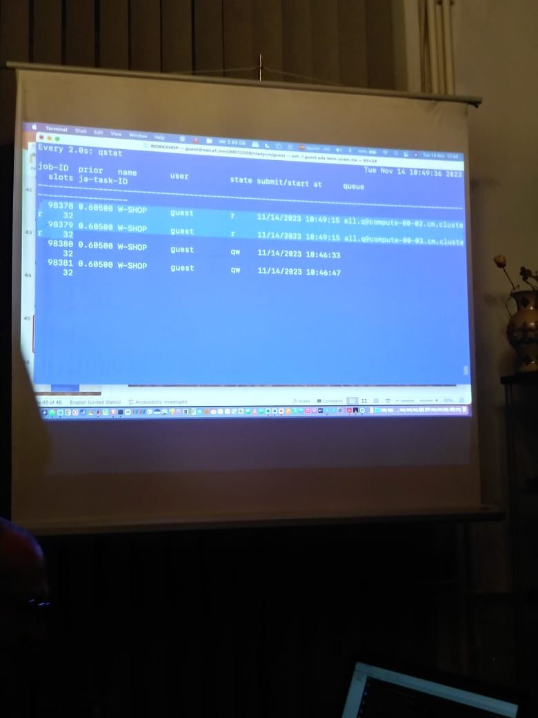 Workshop5